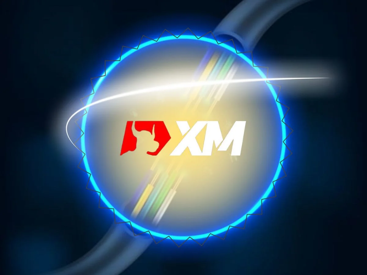 XM Việt Nam - Review chi tiết từ A - Z